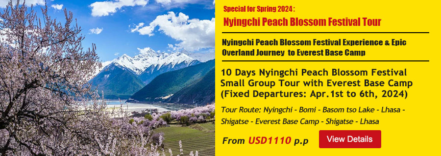 Nyingchi Peach Blossom Festival Small Group Tour with Everest Base Camp 2024