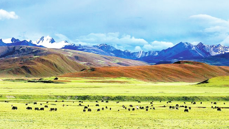 Maoya Grassland along Highway to Tibet
