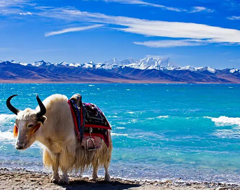 6 Days Travel to Sky Lake - Lhasa and Lake Namtso Small Group Tour