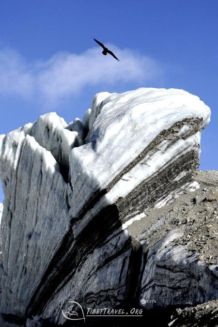 the world's third largest glacier