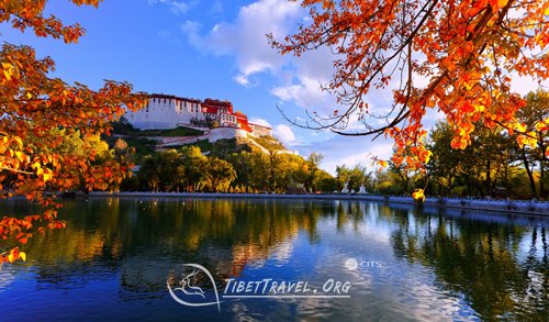 The grand Potala in Autumn is decorated by red and green leaves, golden sunshine and glistening pond