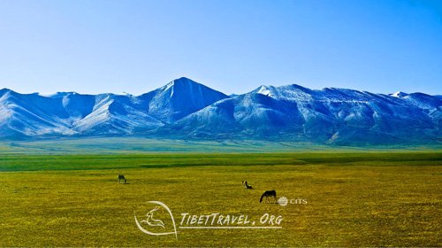 qinghai tibet railway scenery