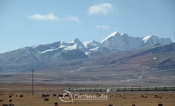qinghai tibet railway