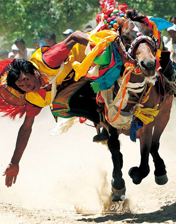 Qushui horse racing