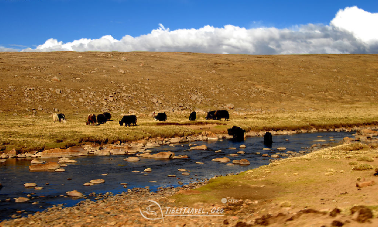 Tibet  beautiful scenery