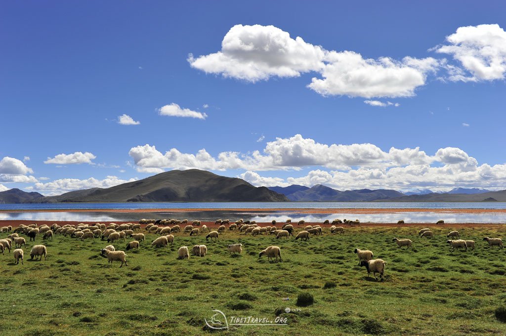 Scenic Tibet