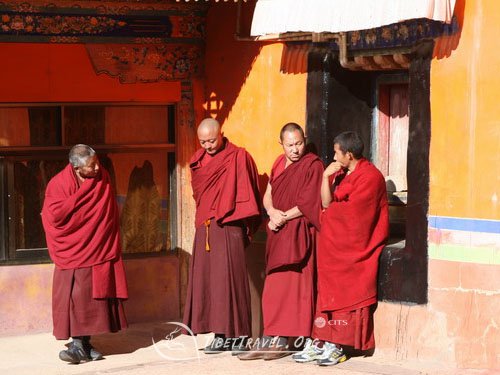 lama in lhasa