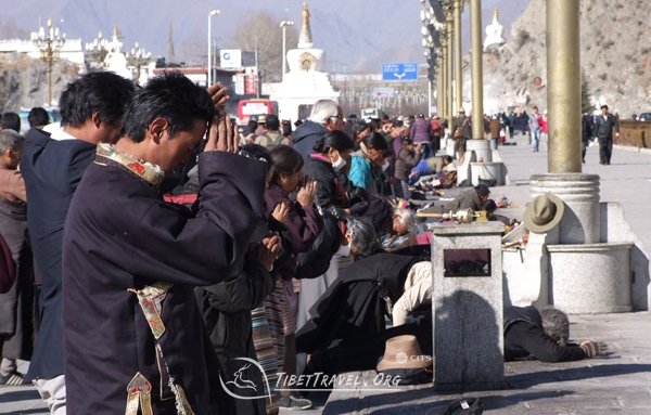 lhasa in winter