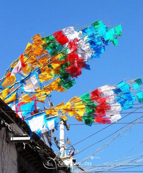 Tibetan New Year, Prayer Flag Trees