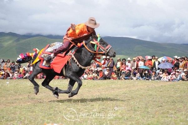 litang-horse-race