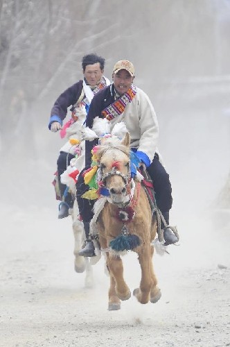 Riders take part in a horse racing