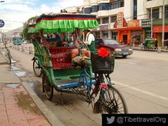 One Day Private Tricycle Tour in Lhasa