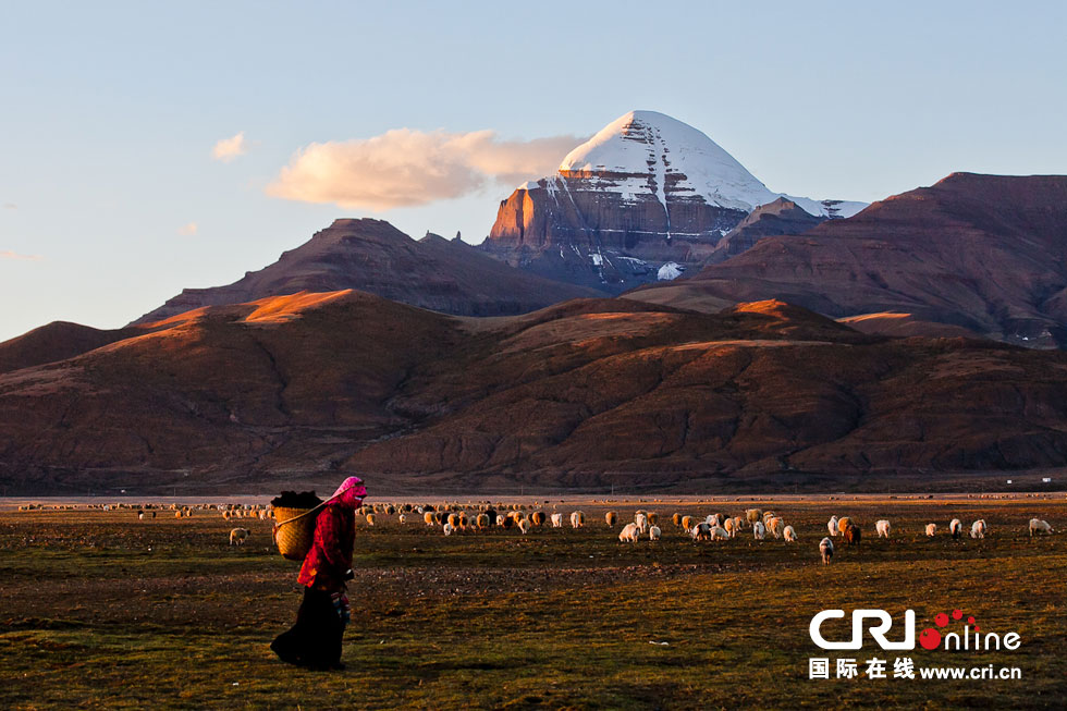 Tibetan girls are shepherding sheep