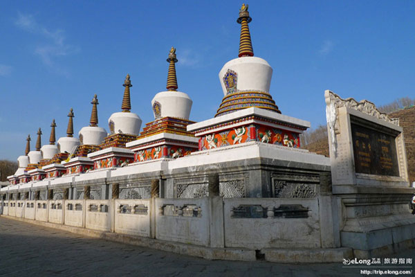 The Kumbum Monastery 