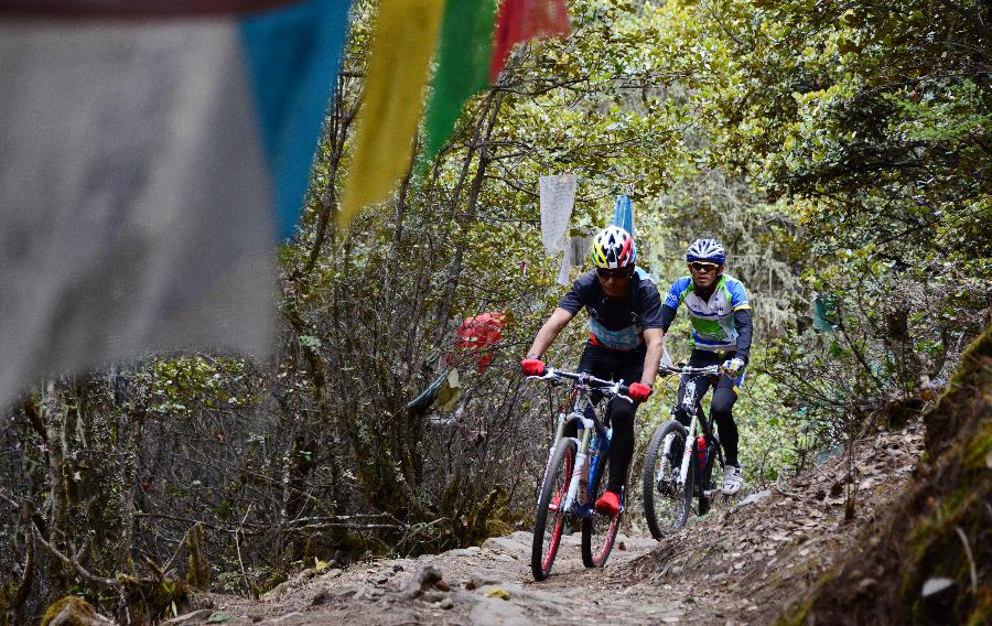 Two cyclists ride on a mountain trail 