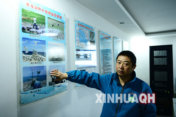 Hou Yuansheng, staff member of the Qinghai Lake National Nature Reserve Bureau, is introducing the wild video monitoring system,