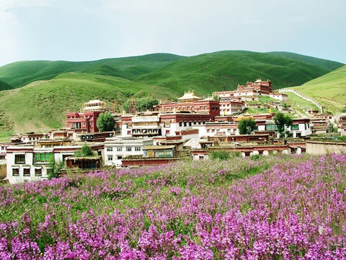 Lithang is especially known for vast grassland.