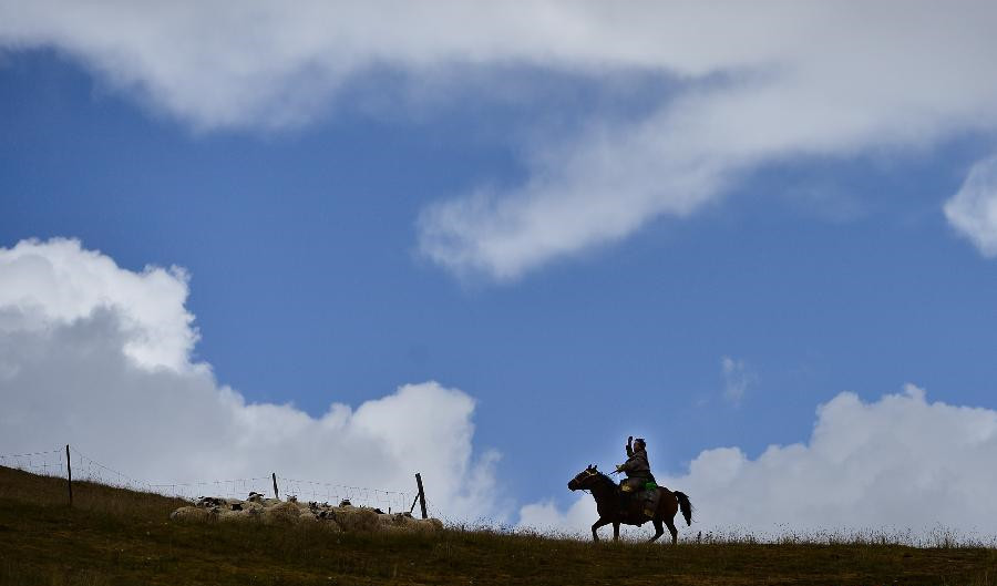 Photo shows Dongdripu, a nomad of Tibetan ethnic group living in Haibei Tibetan Autonomous Prefecture on his way of moving.
