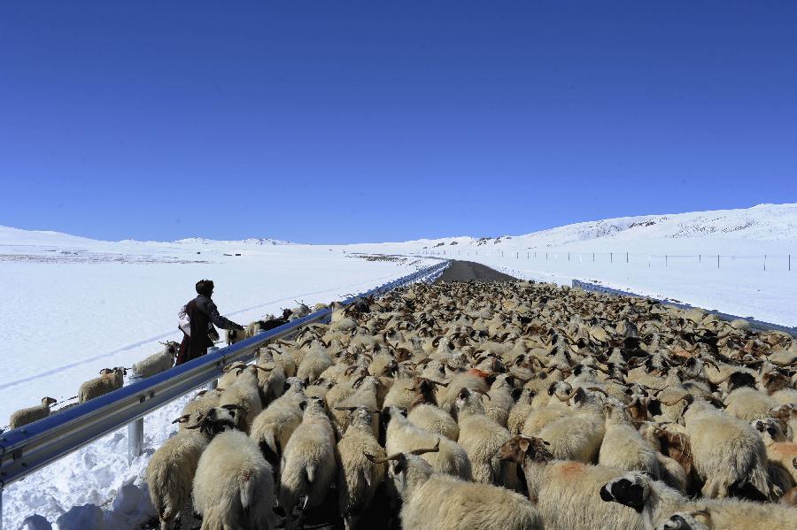 Nagri of western Tibet after snow