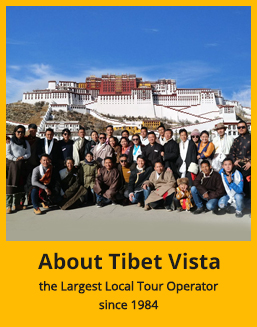 About Tibet Vista
