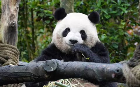 18 Days Best of Tibet Nepal Tour from Chengdu