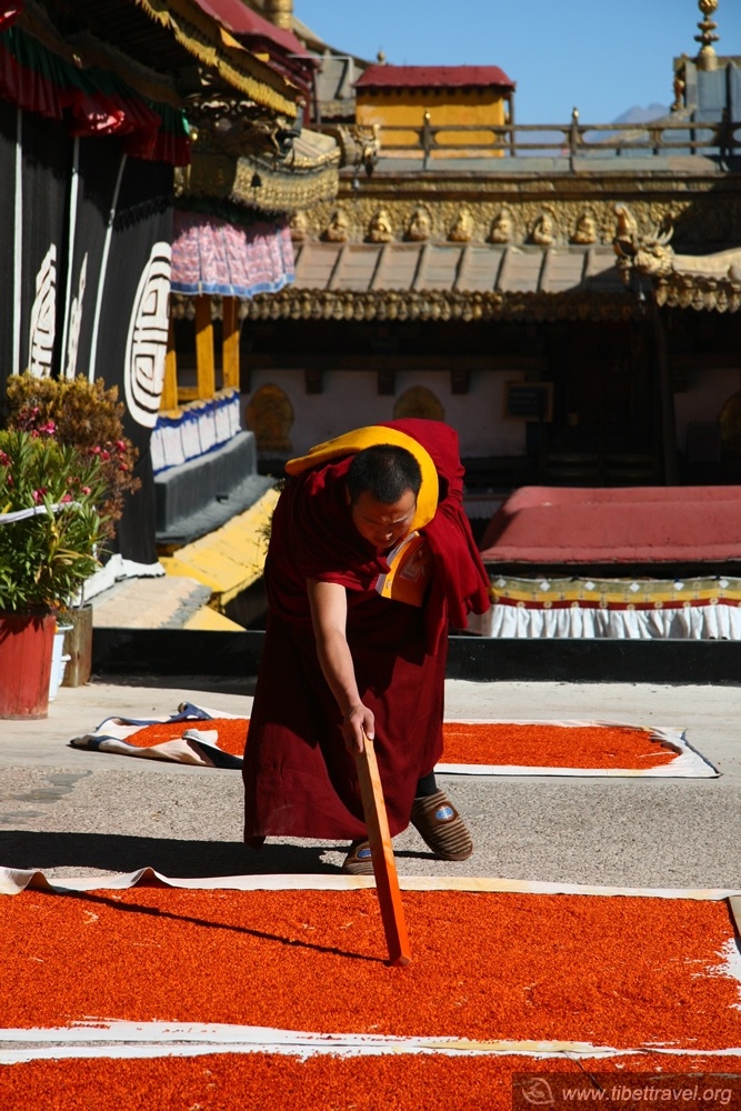 Drying Saffrons in sunlight by monks in Tibet is some sort of daily activities in Monk’s life in monasteries