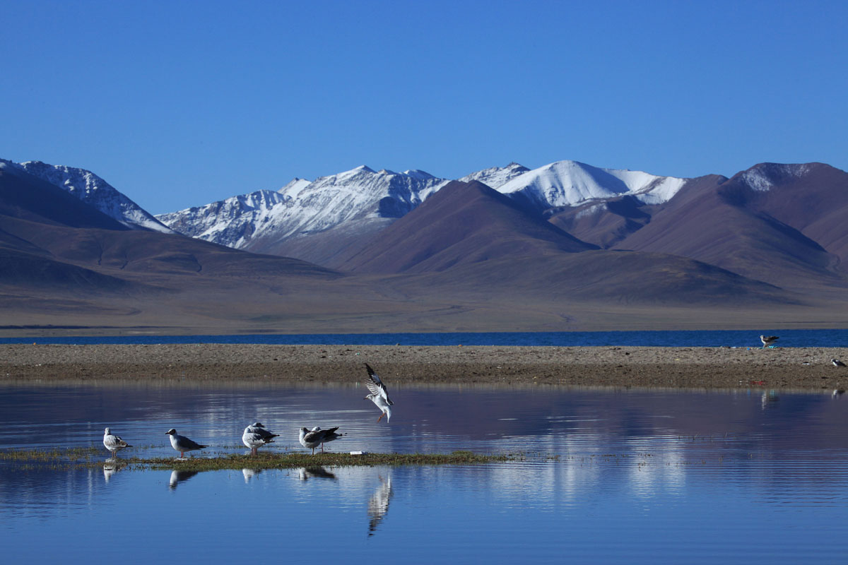 One of World's Purest Areas-Tibet