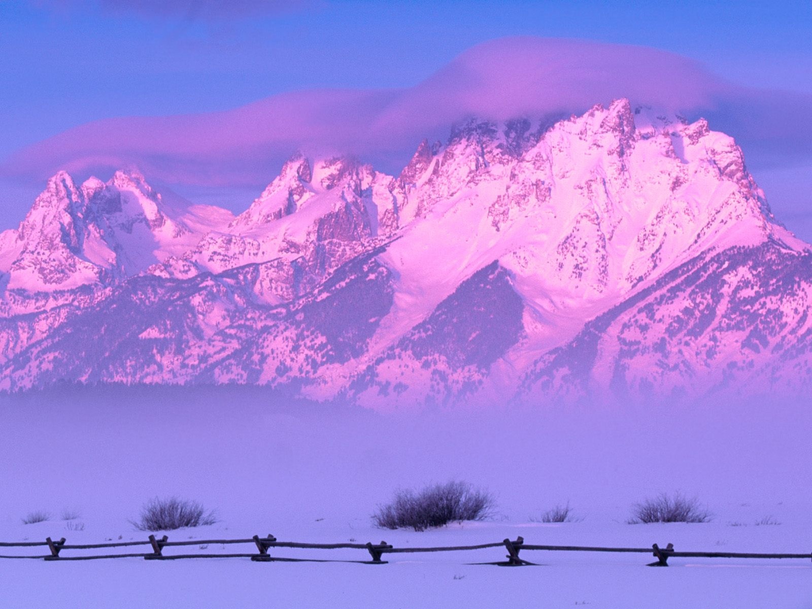 Tibet to Pilot National Park Project