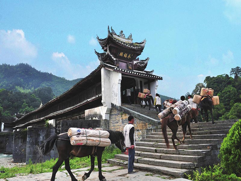  Ancient Tea-Horse Road 