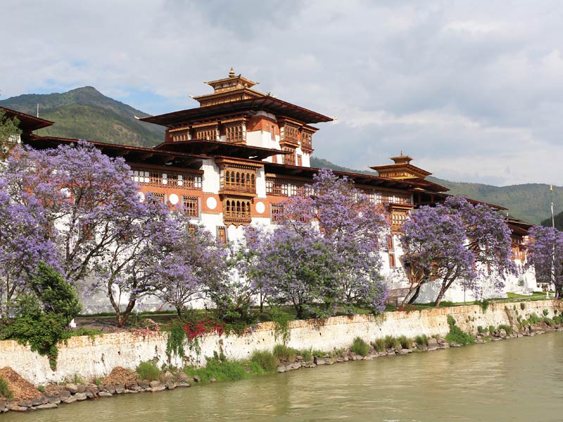 Punakha Dzong in Bhutan
