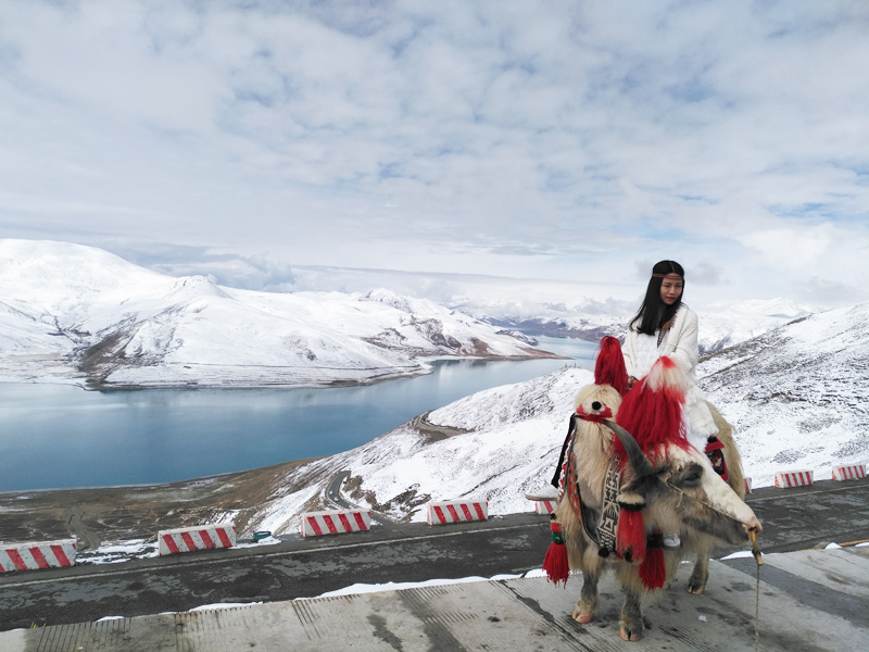 Yamdrok Lake in Winter