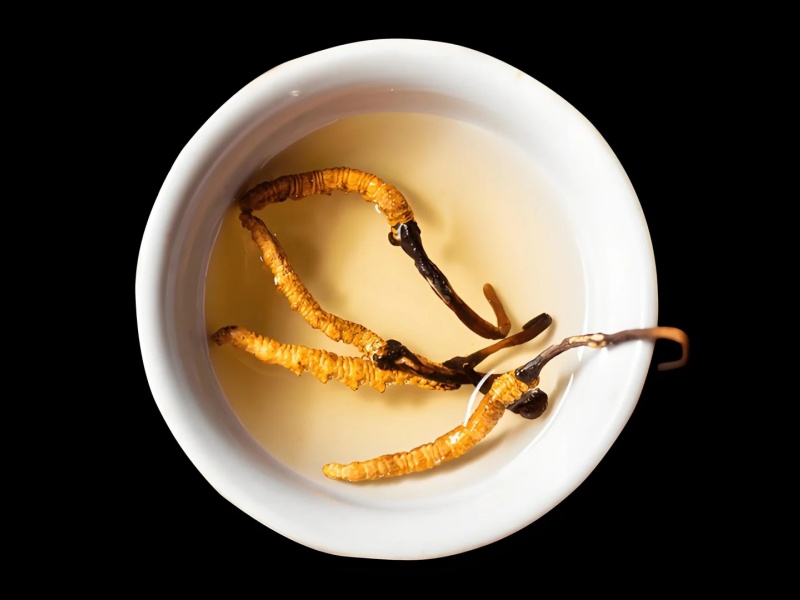 Traditional Use of Cordyceps Sinensis Cordyceps Sinensis brewed in hot water