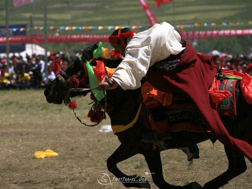 Horse Racing on Shoton Festival  
